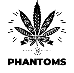 logo 11